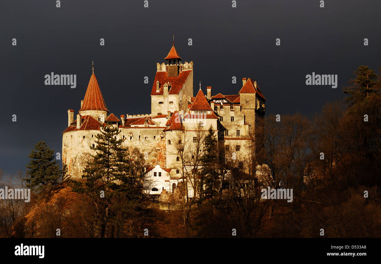 Son château médiéval en Transylvanie, Roumanie, connu pour l'histoire de Dracula. Banque D'Images