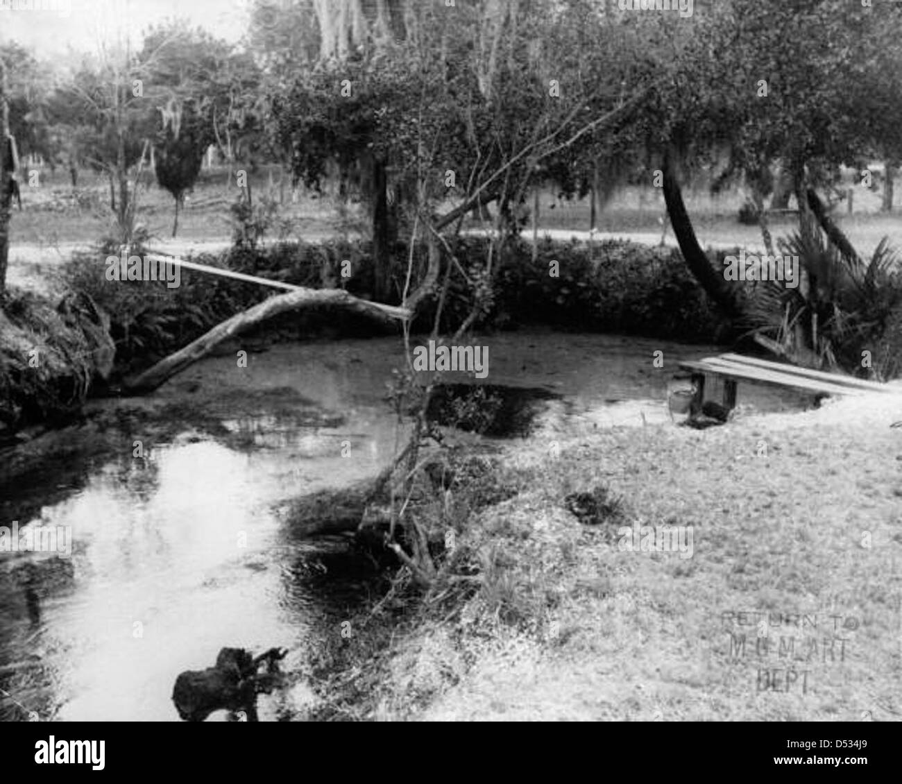 Une vue d'un étang présenté dans l'adaptation cinématographique du roman de Marjorie Kinnan Rawlings 'The Yearling'. Le film a été produit par Metro-Goldwyn-Mayer, mettant en valeur la beauté naturelle de la Floride. Banque D'Images