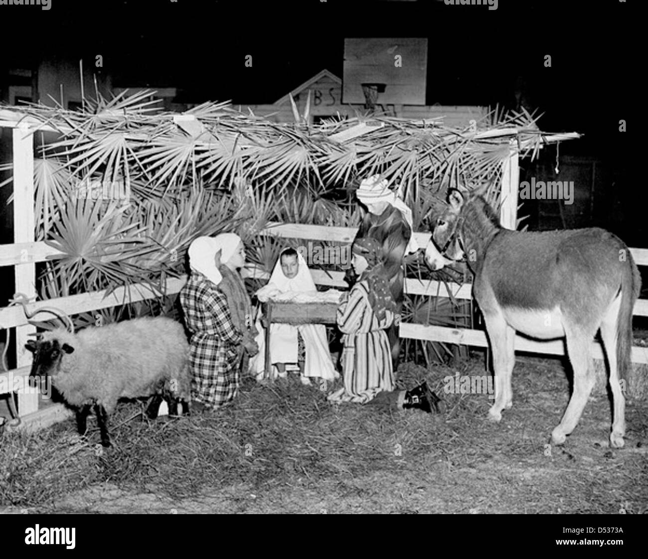 Une scène vivante de la Nativité est exécutée à Lake City, en Floride, mettant en vedette des enfants, un âne et d'autres animaux, capturer l'esprit de Noël. La scène comprend des éléments traditionnels comme des frondes de palmier et une exposition de nativité. Banque D'Images