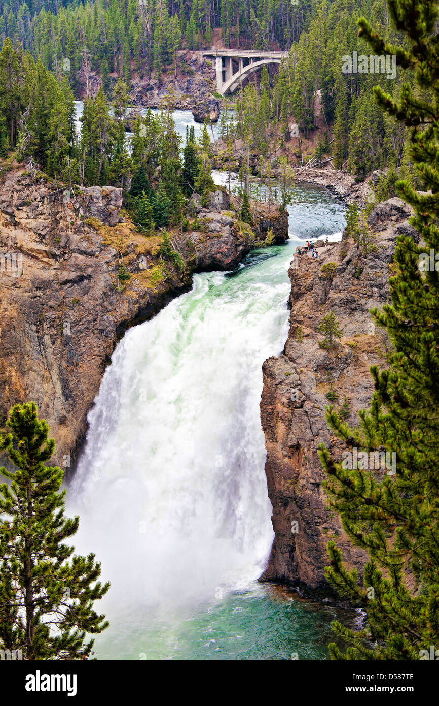 Falls sur la rivière Yellowstone dans le parc national de Yellowstone, Wyoming-nous Banque D'Images