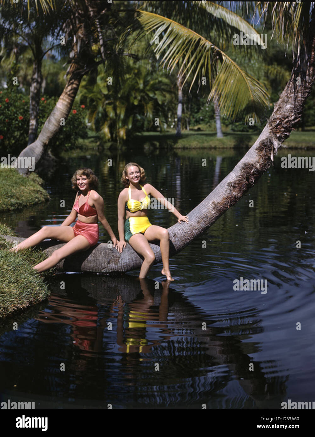 Les modèles Nora Carrol et lois Duncan Steinmetz sont photographiés à Sarasota, en Floride, dans les années 1940 La photo capture les jeunes femmes de Sarasota Jungle Gardens, portant des maillots de bain et profitant du plein air. Banque D'Images