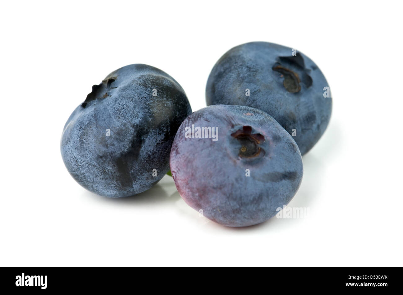 Blueberry isolated on white Banque D'Images