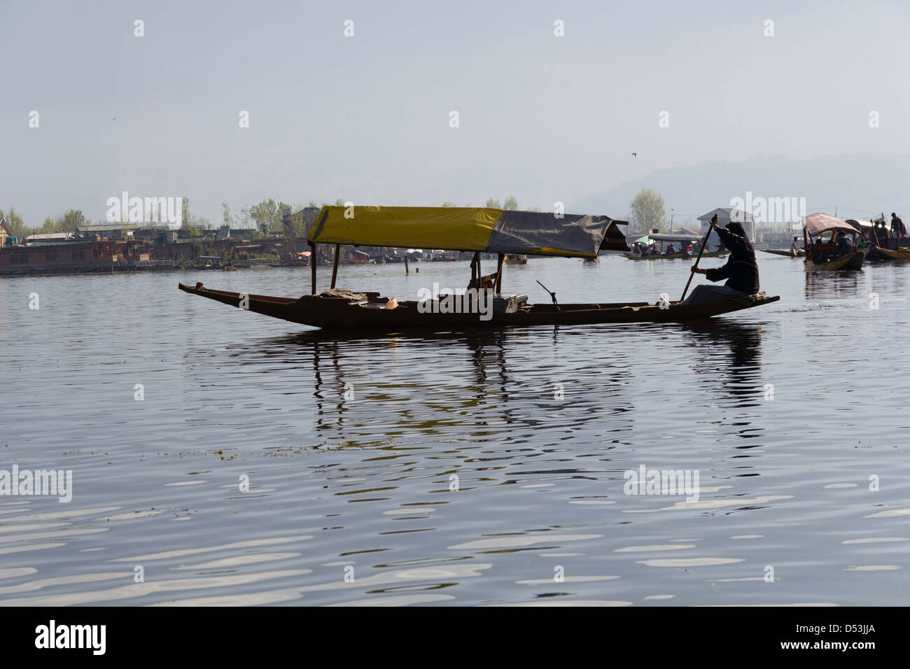 Homme cachemire un aviron shikara sans les touristes dans les eaux de la le lac Dal à Srinagar, avec la rive dans l'arrière-plan Banque D'Images
