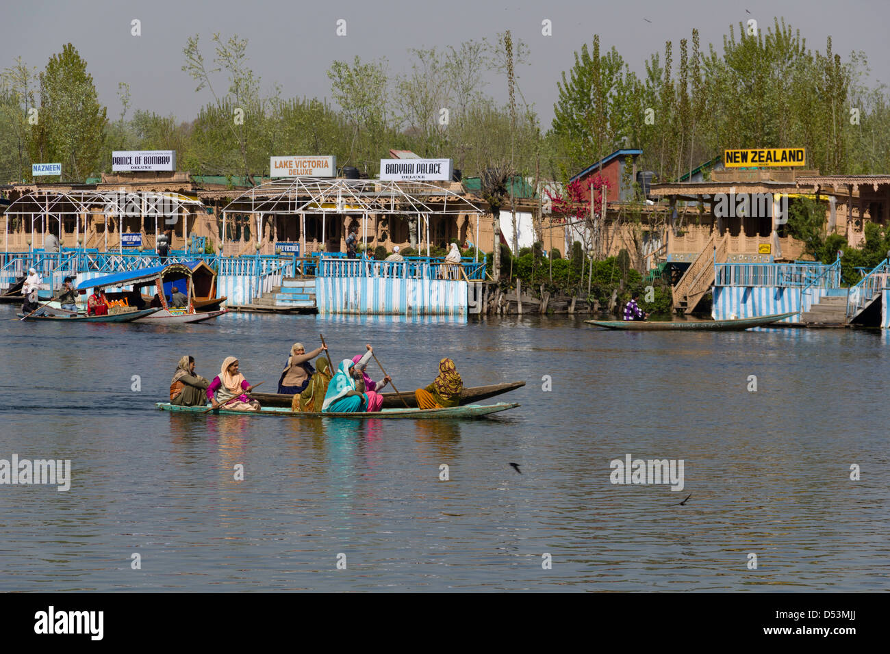 Mesdames sur 2 bateaux en bois côte à côte sur le lac Dal avec l'arrière-plan de bateaux-maison et arbres épais sur la rive Banque D'Images