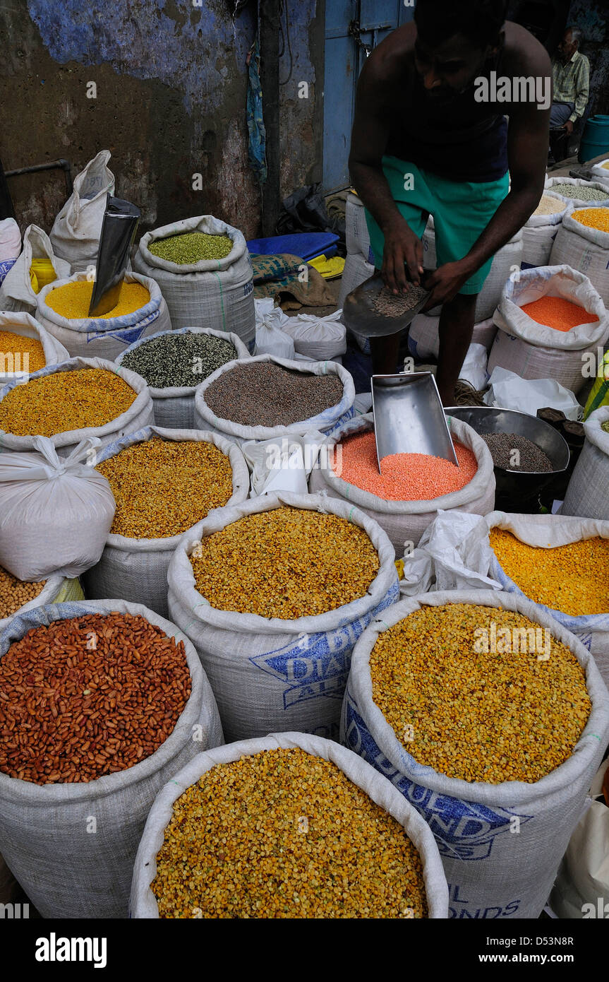 Marché des grains à Chandni Chowk dans Old Delhi. Banque D'Images