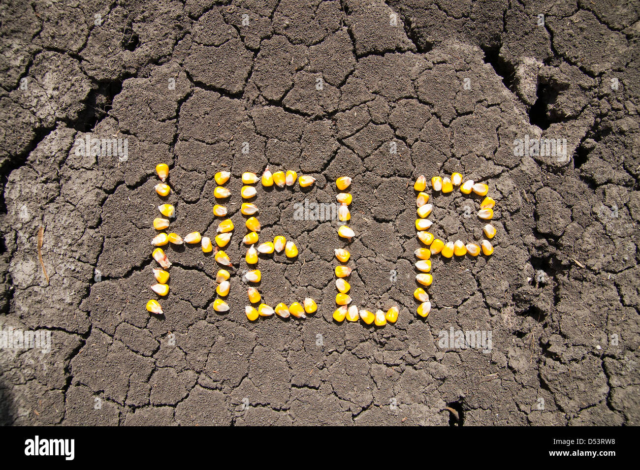 Mot de l'aide de grains de maïs cracked earth Banque D'Images