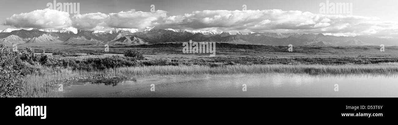 Noir & blanc, vue panoramique au sud de l'Alaska dont Mt. McKinley (Denali Mountain), partiellement masquée par les nuages Banque D'Images