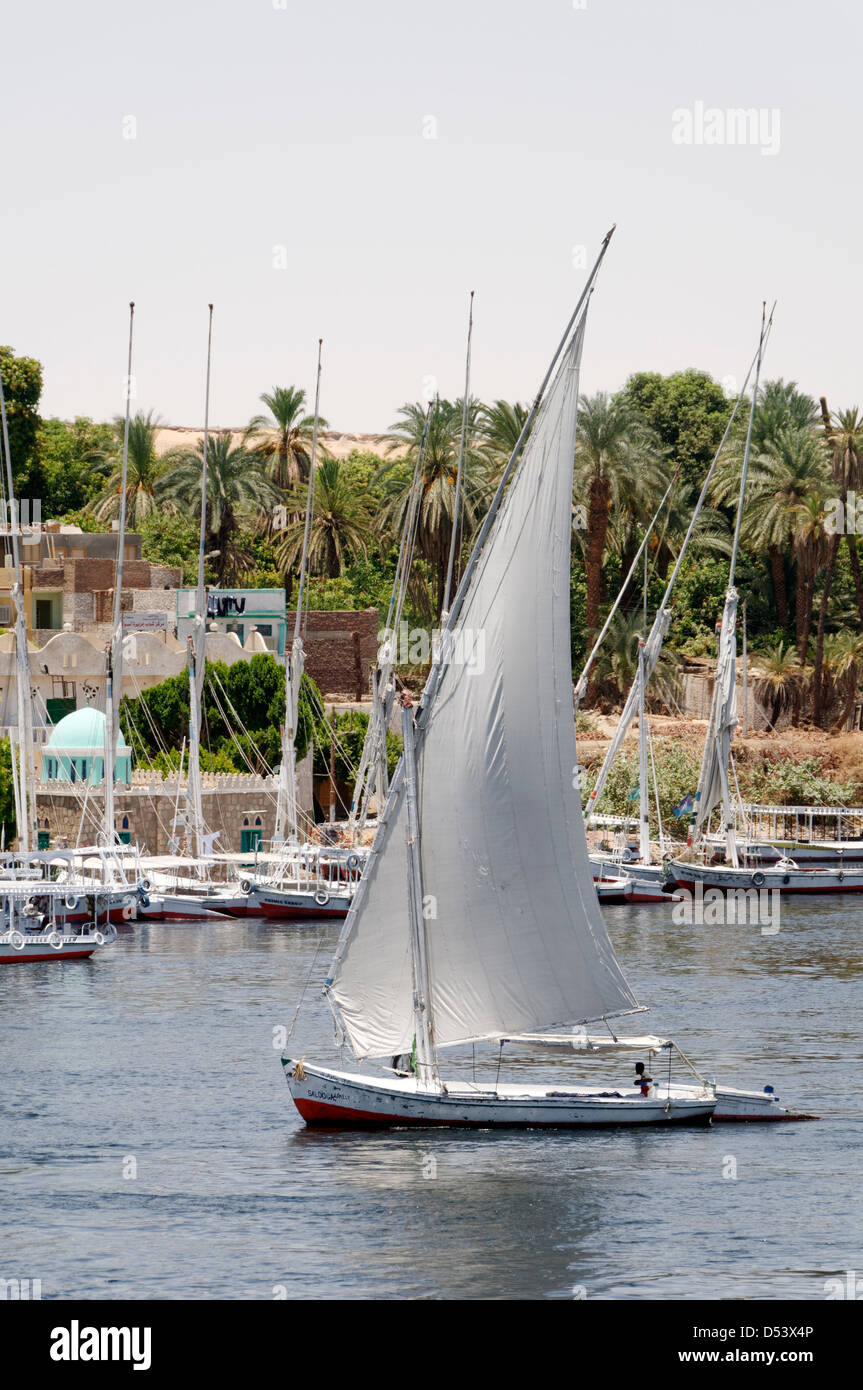 L'Égypte. Felouques traditionnelles transportant des touristes autour de l'île Éléphantine qui siège au milieu de la rivière Nil à Assouan. Banque D'Images