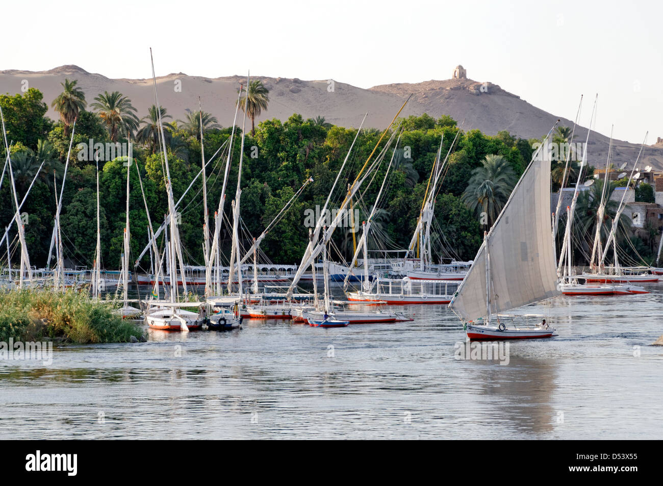 L'Égypte. Felouques traditionnelles transportant des touristes autour de l'île Éléphantine qui siège au milieu de la rivière Nil à Assouan. Banque D'Images