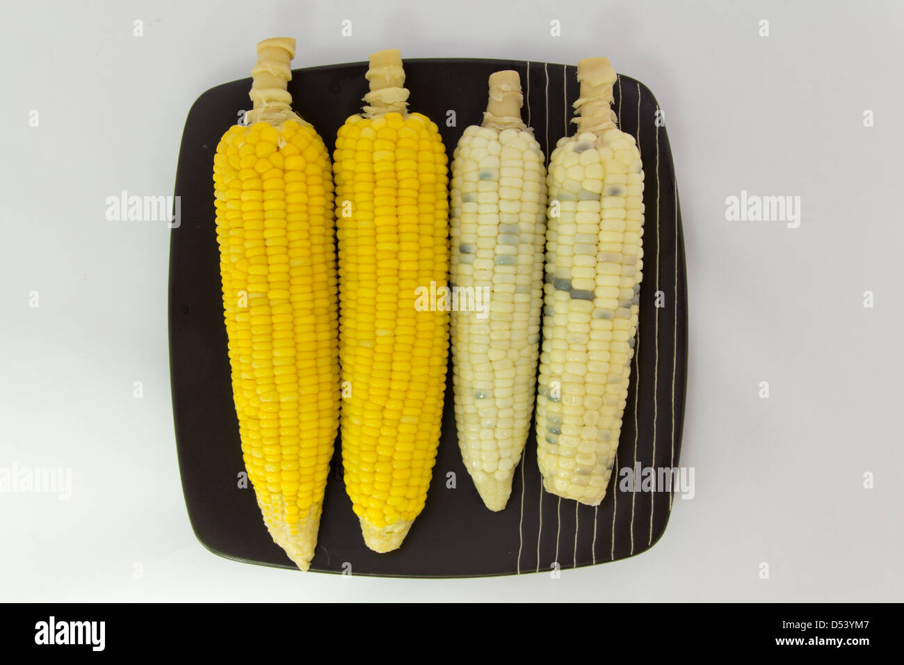 Le maïs blanc et le maïs jaune sur la plaque Banque D'Images