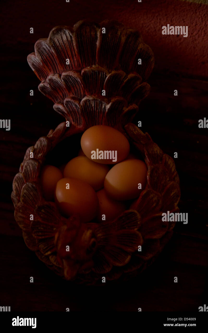 Des œufs frais, de El Aguacate ferme, Morgan's Rock Hacienda & Ecolodge, Nicaragua Banque D'Images