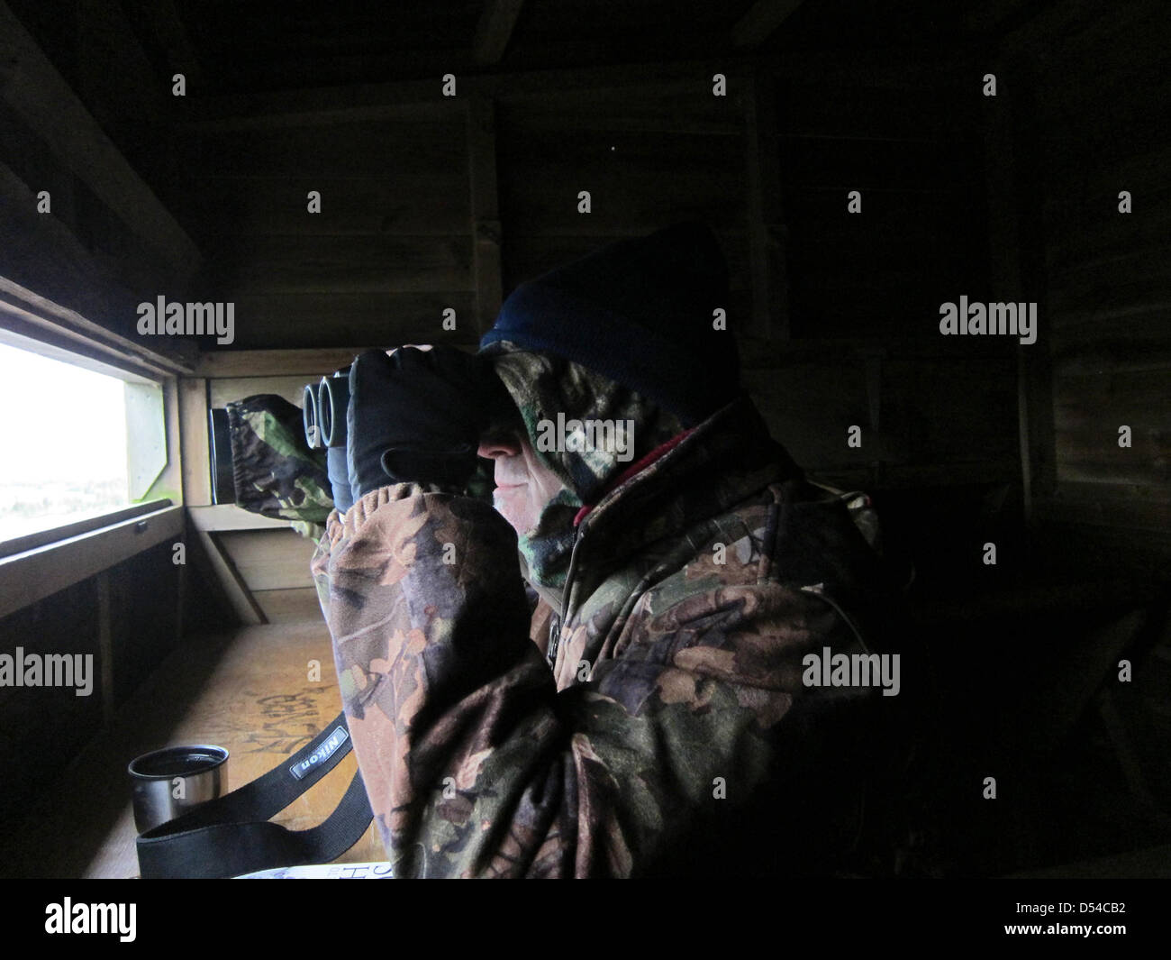 Homme mûr dans une froide masquer l'observation des oiseaux, le port de vêtement de camouflage. 24 Mars 2013 Banque D'Images