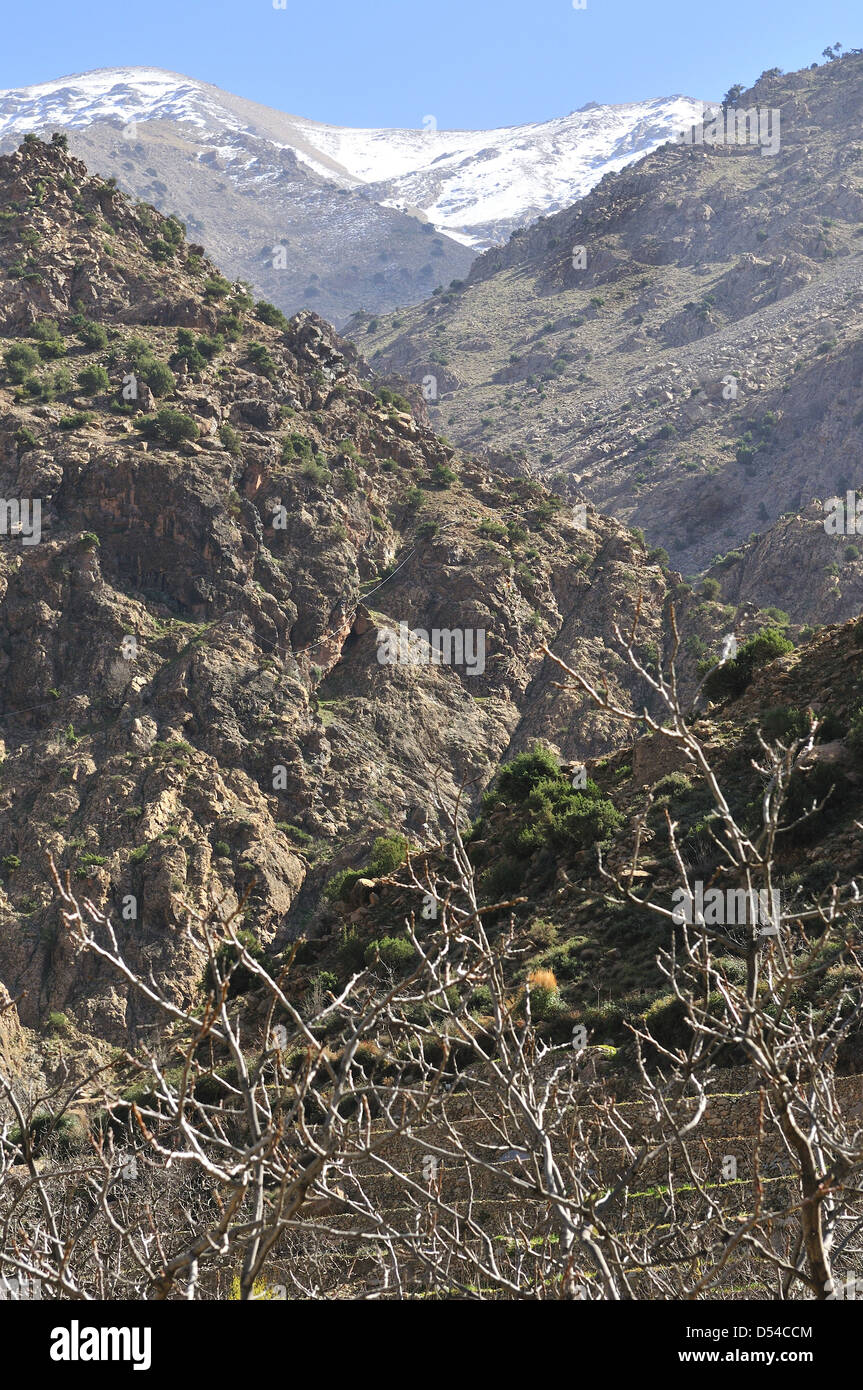 Vista vers le haut atlas sur la route de l'Ourika les cascades de Setti Fatma Setti Fatma , vallée de l'Ourika, Maroc Banque D'Images