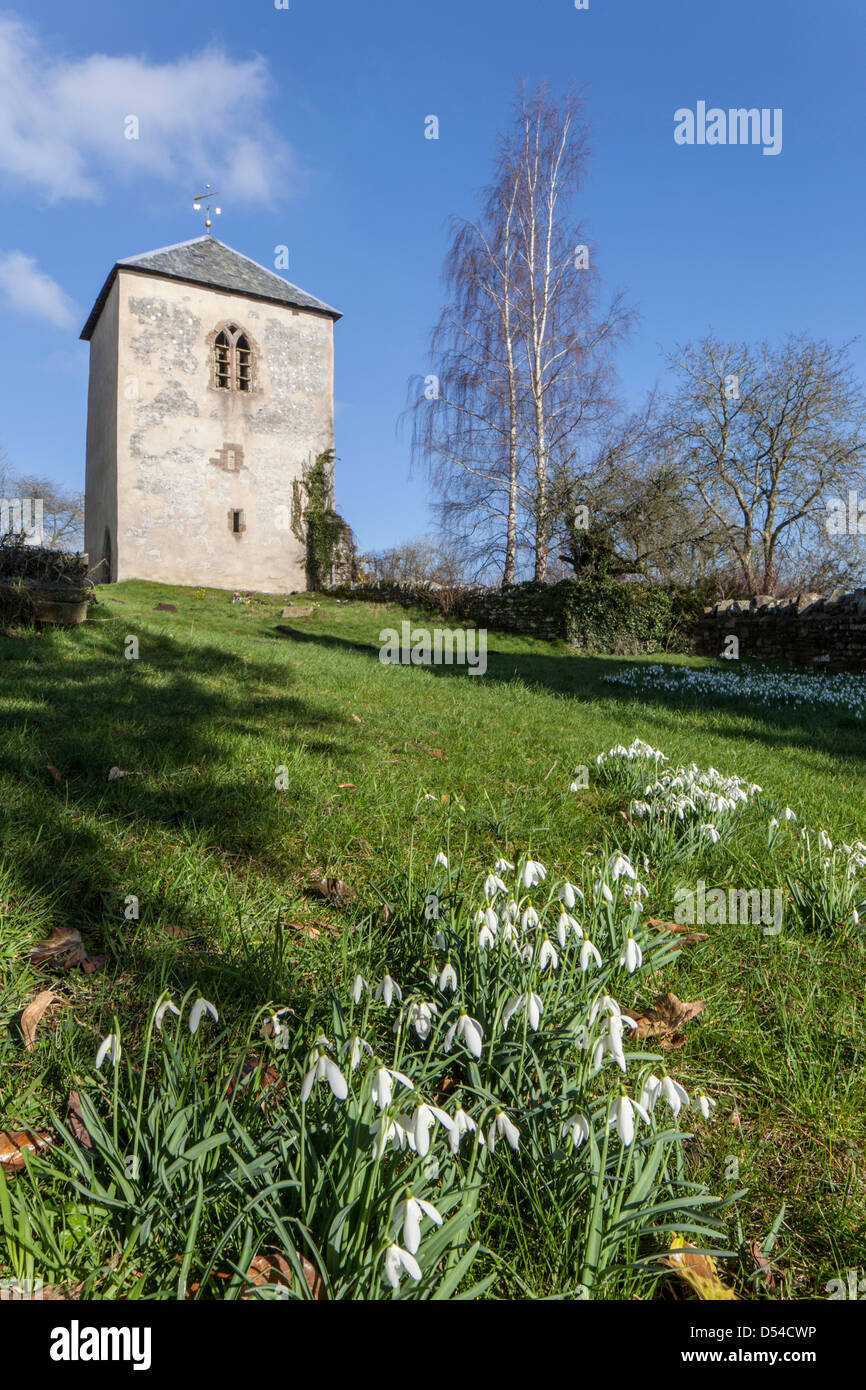 Le clocher de l'église St Barthélémy à Richards Château, Herefordshire, Angleterre, RU Banque D'Images