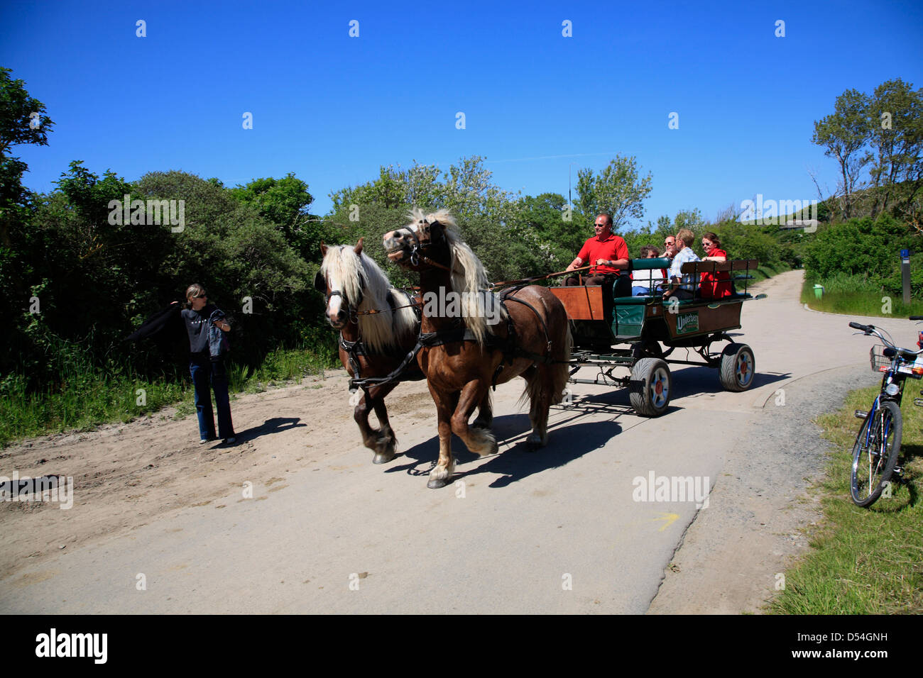L'île de Hiddensee, transport à Kloster, Mecklembourg Poméranie occidentale, Allemagne Banque D'Images