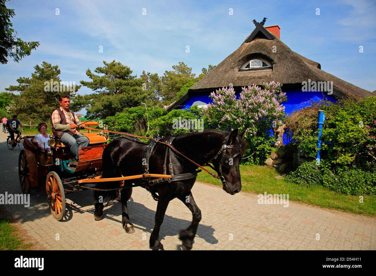 L'île de Hiddensee, transport en face de blue barn, BLAUE SCHEUNE à Rostock, Mecklembourg-Poméranie-Occidentale, Allemagne Banque D'Images