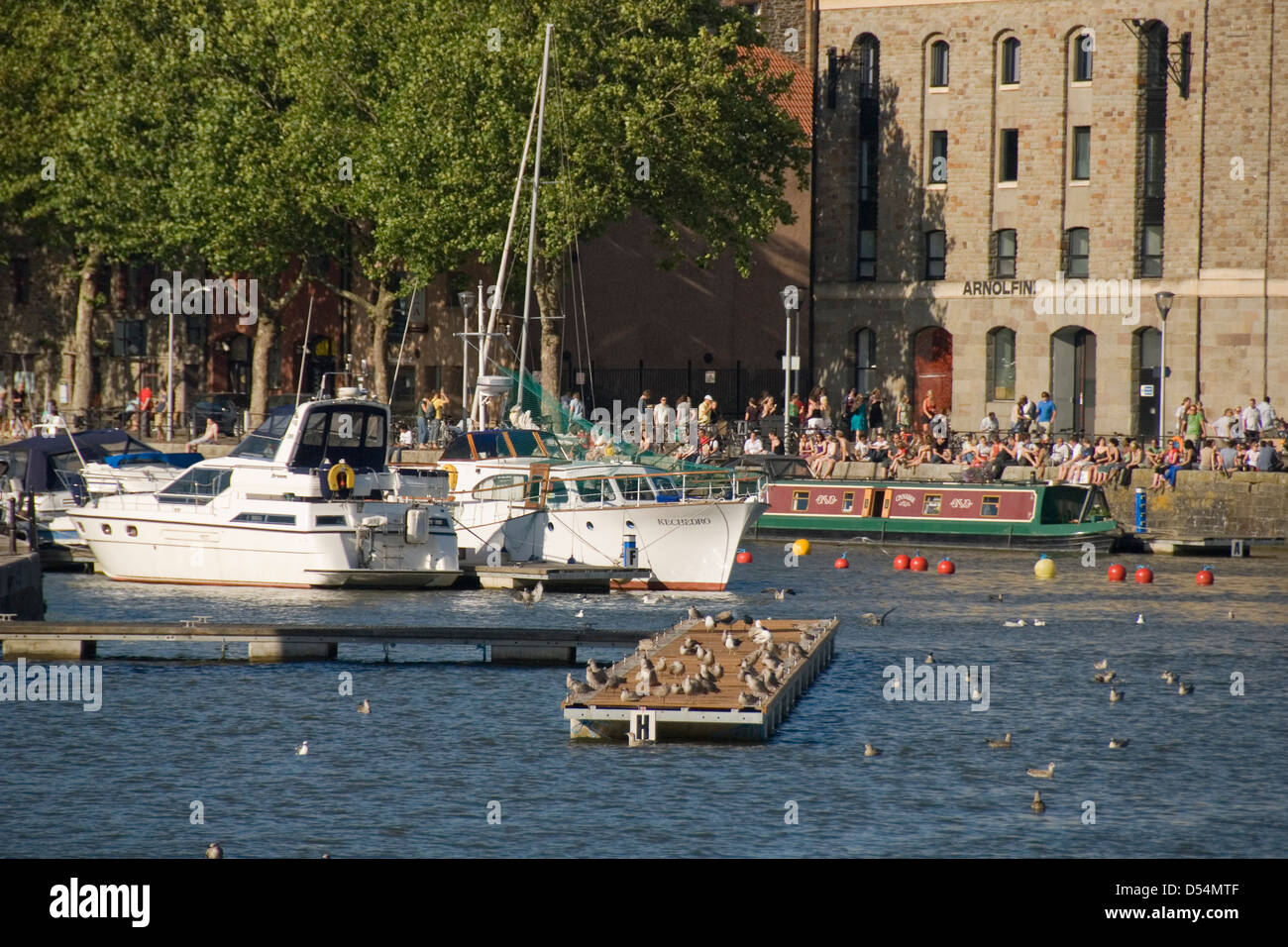 Bristol Harbour, les gens, les bateaux et les oiseaux en face de Arnolfini, Bristol, England, UK Banque D'Images