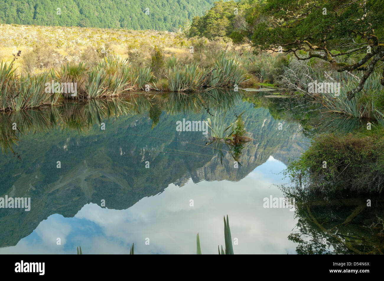 Les reflets dans le lac Mirror, Eglinton Valley Banque D'Images