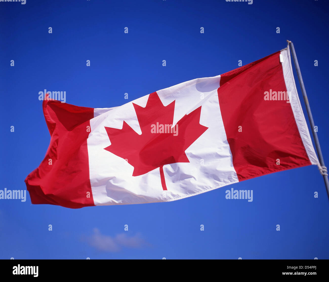 Le drapeau national du Canada (Maple Leaf), au Fort Henry, Province de l'Ontario, Canada Banque D'Images