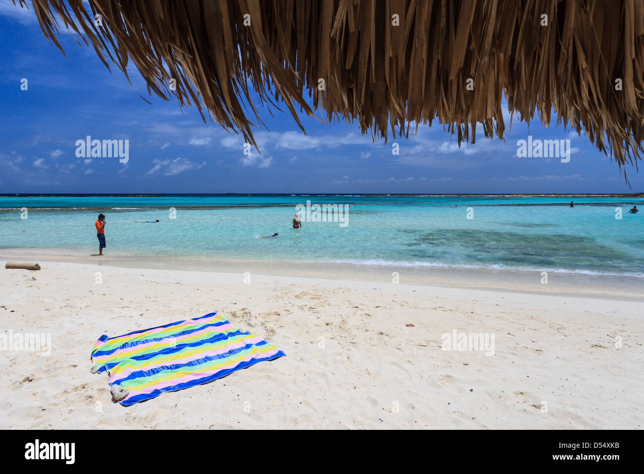 Plage à Aruba, Lesser Antilles, mer des Caraïbes Banque D'Images