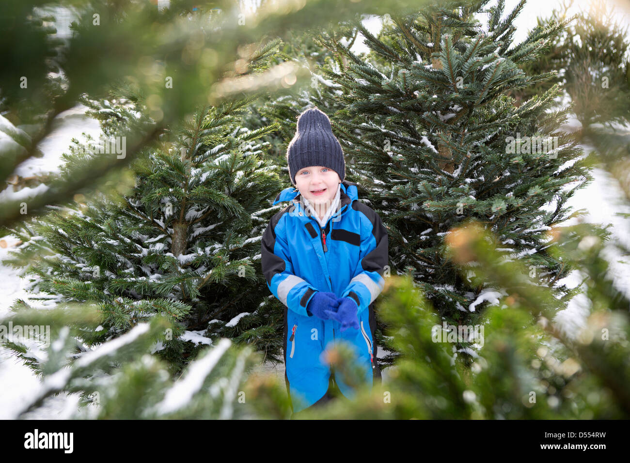 Garçon debout dans beaucoup d'arbres de Noël Banque D'Images