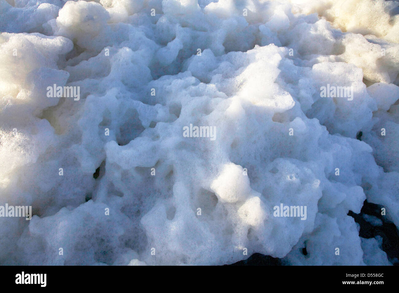 écume de mer Banque de photographies et d’images à haute résolution Alamy
