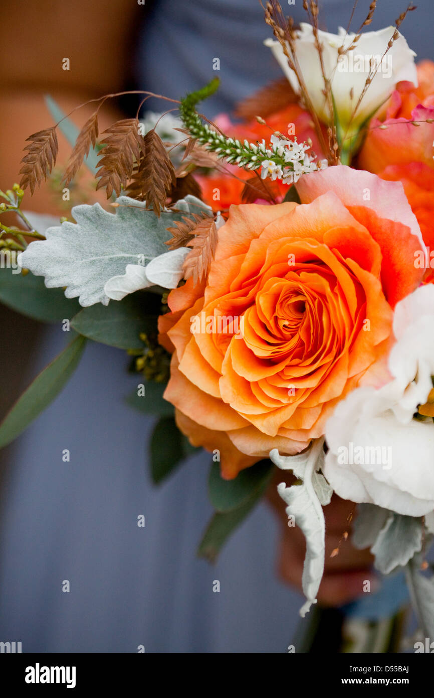 Orange open rose, bouquet de demoiselle Banque D'Images