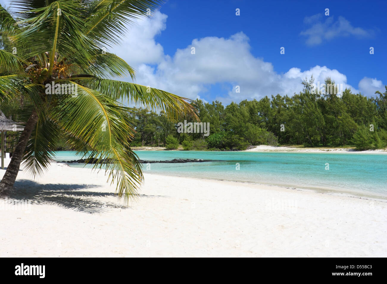 Belle plage à l'île Maurice avec des palmiers et de l'océan Banque D'Images