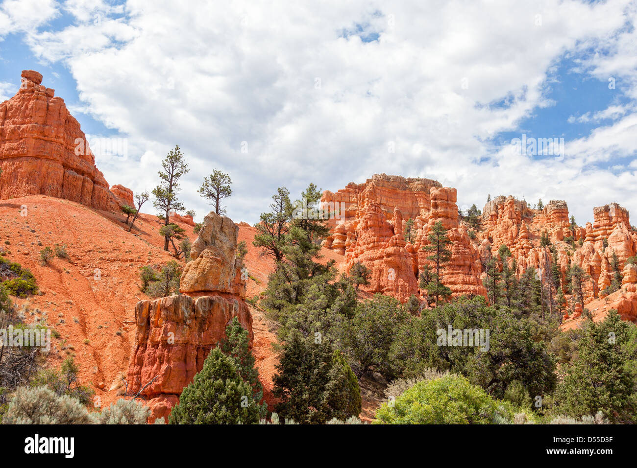 Le parc national de Bryce Canyon dans l'Utah - USA Banque D'Images