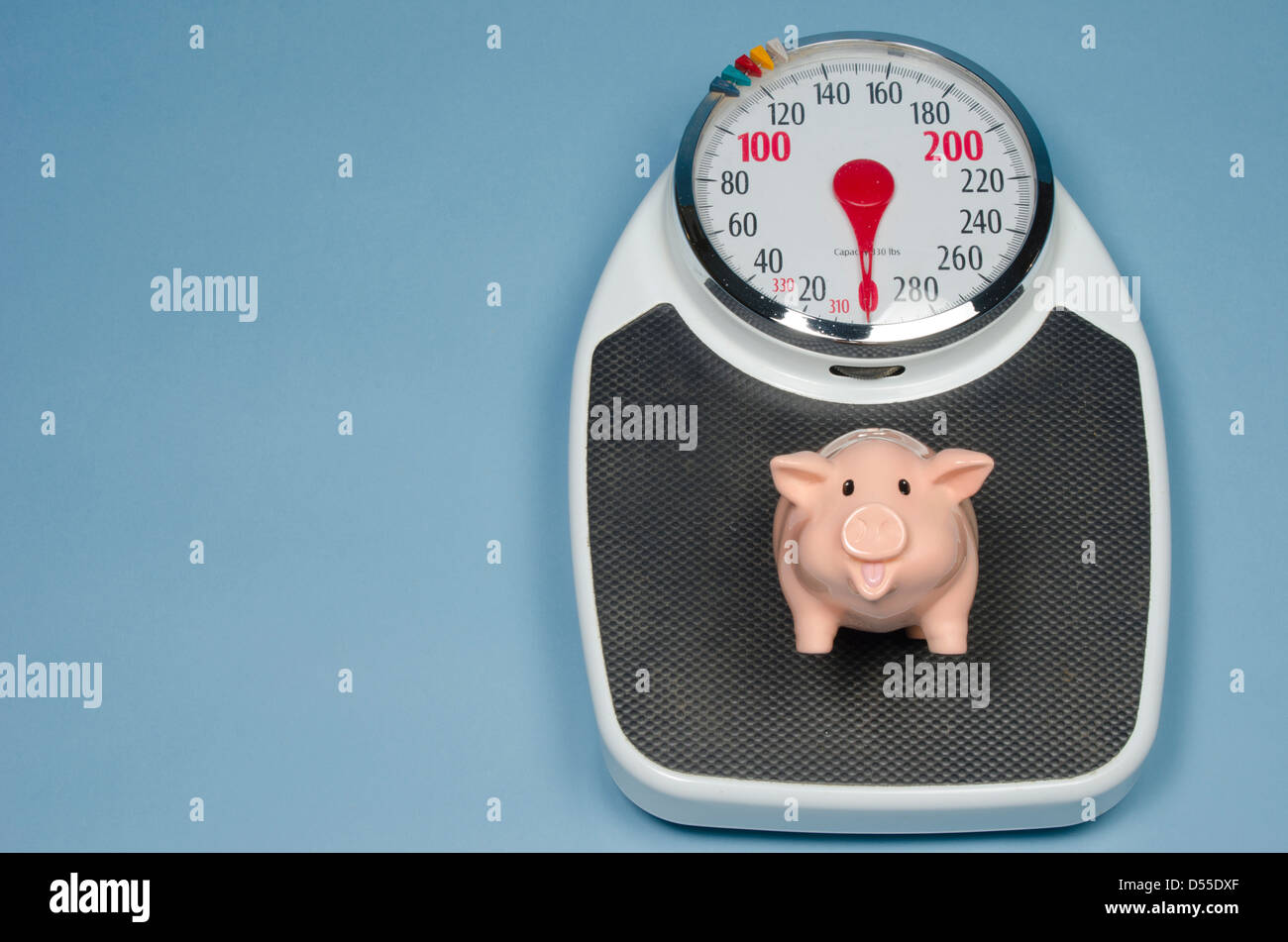 Vous sentez-vous comme un petit cochon quand vous sautez sur la balance ?  Ce petit cochon est ! Photo Stock - Alamy