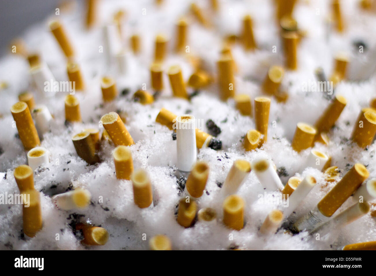 Berlin, Allemagne, les mégots dans la neige Banque D'Images