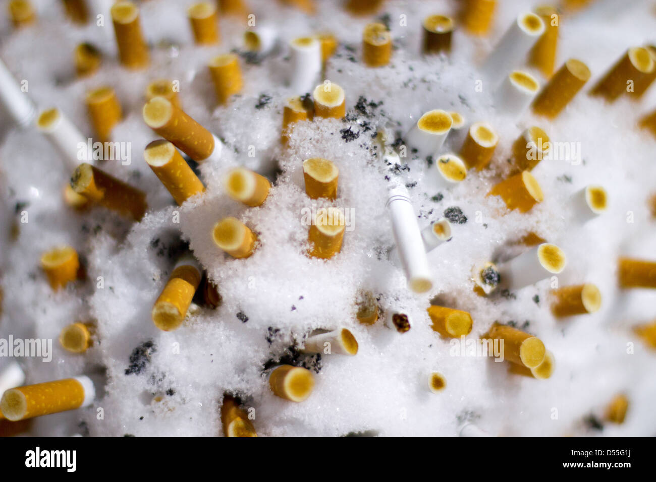 Berlin, Allemagne, les mégots dans la neige Banque D'Images