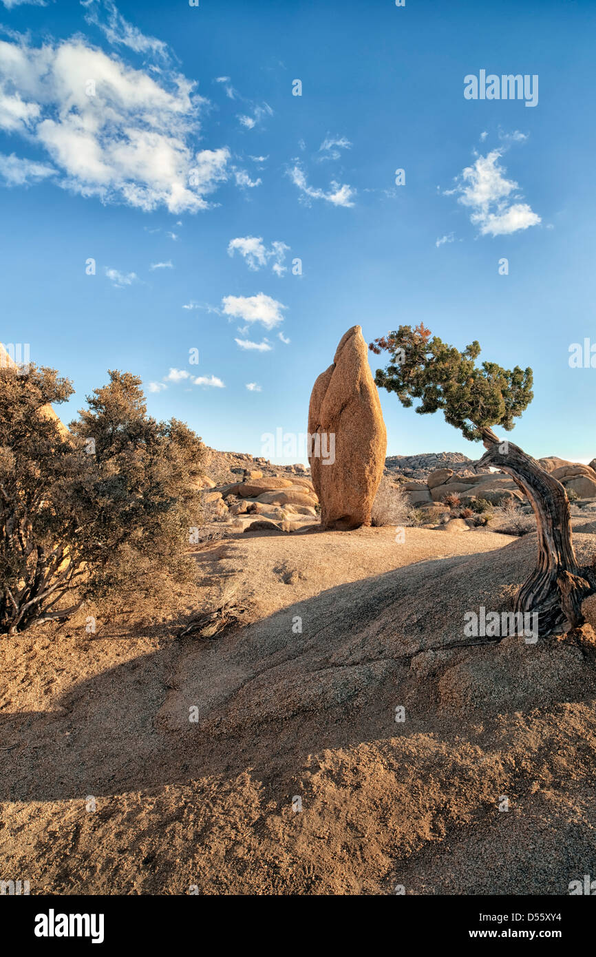 Cet emblématique boulder est un arbre par juniper à roches Jumbo dans la Parc National de Joshua Tree. Banque D'Images