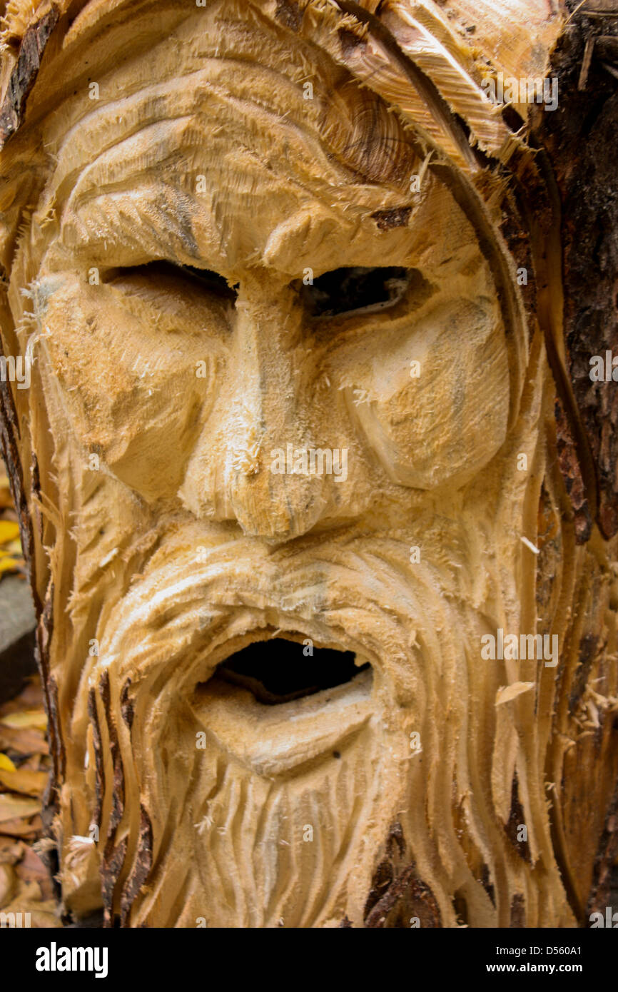 Vieux sage visage sculpté dans un journal de creux avec une tronçonneuse.  Ces sculptures sont connus comme les esprits de l'arbre ou du feu Photo  Stock - Alamy