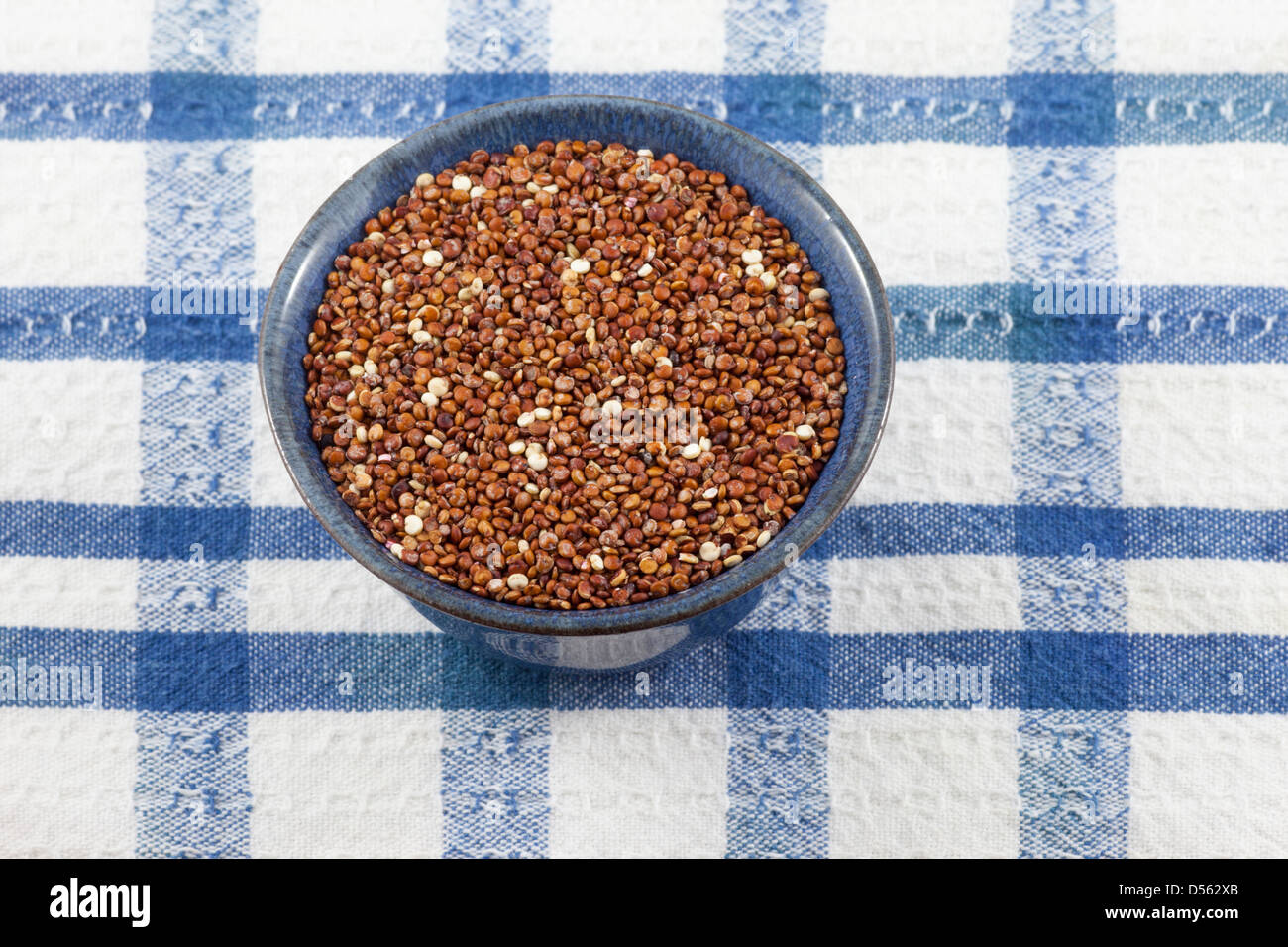 Quinoa rouge biologique (Chenopodium quinoa) sur nappe à carreaux bleus et blancs Banque D'Images