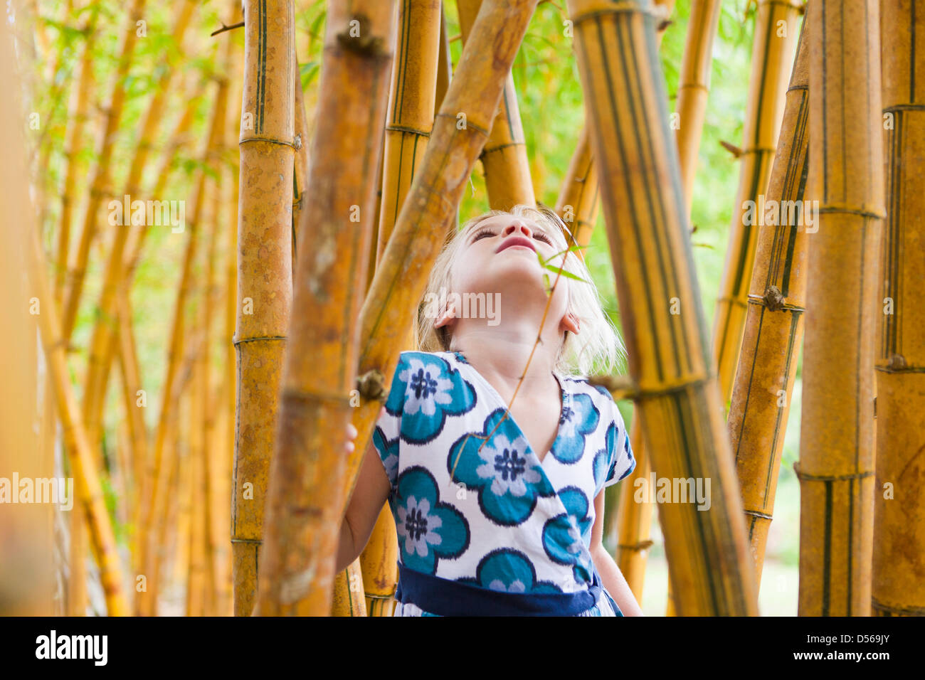 Caucasian girl looking at bamboo stalks Banque D'Images