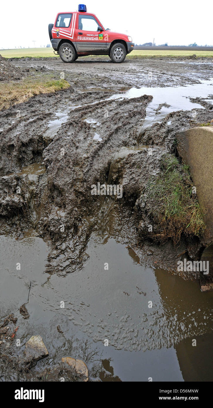 Fuite du fumier liquide en photo près d'une station d'élevage de porcs en Grosskayna, Allemagne, 14 mars 2010. Quelques 14,000 mètres cubes de lisier liquide s'échappait sur deux à trois kilomètres carrés. Les raisons exactes de la fuite n'est pas encore été analysés. Photo : Hendrik Schmidt Banque D'Images