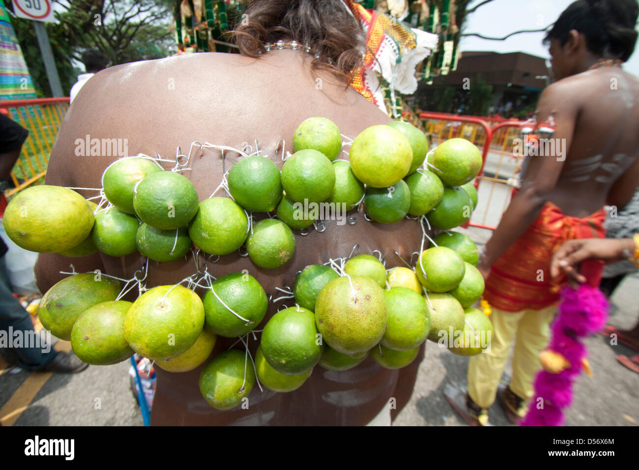 Singapour. 26 mars 2013. Un dévot porte limes qui sont jointes à la percée des crochets sur le dos. Le festival de Thaipusam commémore la victoire du bien sur le mal et est célébré par les dévots hindous qui portent le fardeau physique connu comme Kavadi avec porteurs et prendre leurs joues piercing et des langues. Credit : amer ghazzal / Alamy Live News Banque D'Images