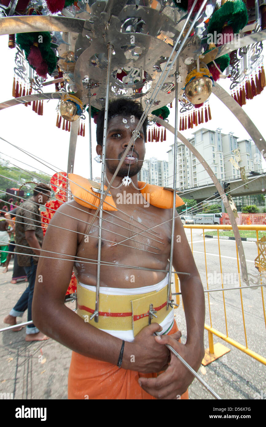 Singapour. 26 mars 2013. Le festival de Thaipusam commémore la victoire du bien sur le mal et est célébré par les dévots hindous qui portent le fardeau physique connu comme Kavadi avec porteurs et prendre piercing à leurs joues et langues avec crochets en métal et des brochettes. Credit : amer ghazzal / Alamy Live News Banque D'Images