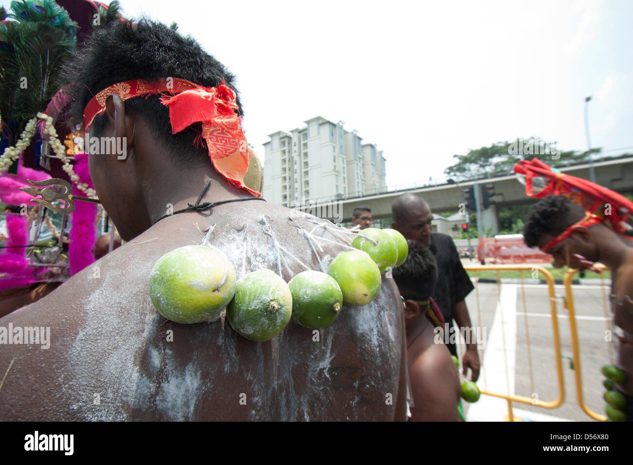 Singapour. 26 mars 2013. Un dévot hindou avec limes attachés à des crochets qui sont percés sur le dos. Le festival de Thaipusam commémore la victoire du bien sur le mal et est célébré par les dévots hindous qui portent le fardeau physique connu comme Kavadi avec porteurs et prendre pour percer leurs joues et langues. Credit : amer ghazzal / Alamy Live News Banque D'Images