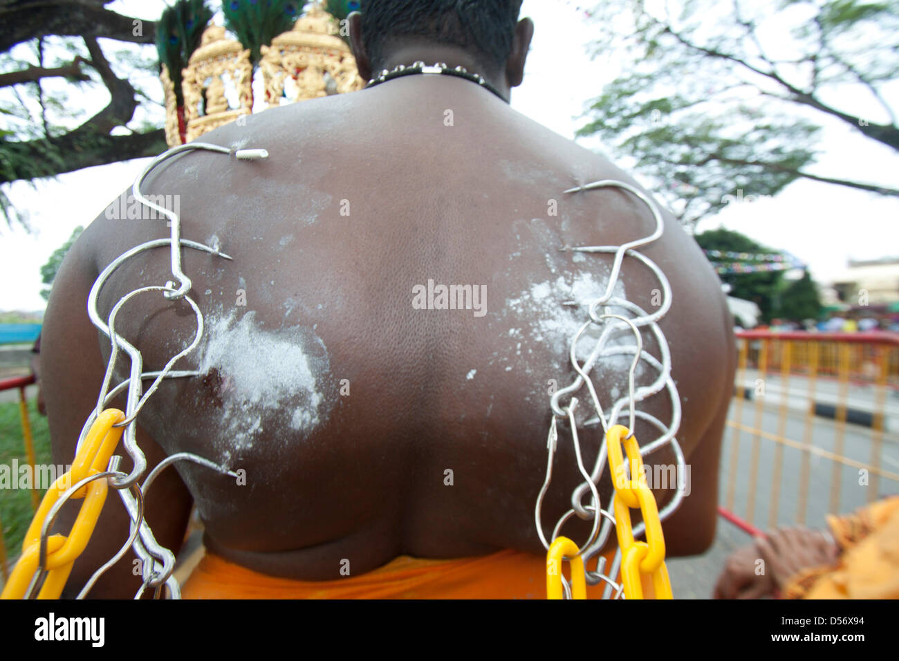 Singapour. 26 mars 2013. Le festival de Thaipusam commémore la victoire du bien sur le mal et est célébré par les dévots hindous qui portent le fardeau physique connu comme Kavadi avec porteurs et prendre pour percer leurs joues et langues avec crochets en métal et des brochettes. Credit : amer ghazzal / Alamy Live News Banque D'Images