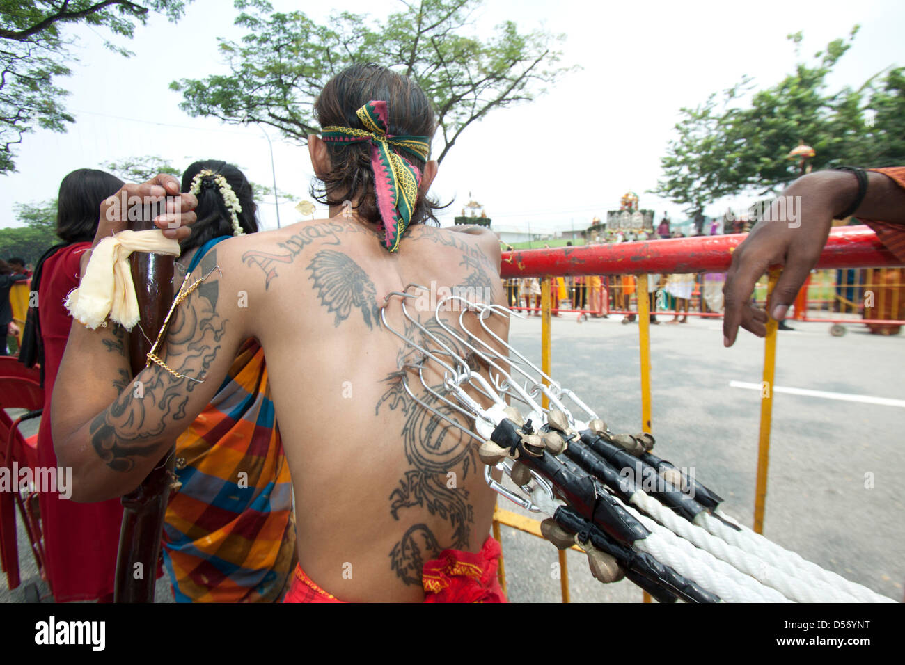 Singapour. 26 mars 2013. Un dévot montre sa dévotion en perçant son dos avec crochets en métal au festival de Thaipusam. Le festival de Thaipusam commémore la victoire du bien sur le mal et est célébré par les dévots hindous qui portent le fardeau physique connu comme Kavadi avec porteurs et prendre pour percer leurs joues et langues avec crochets en métal et des brochettes. Credit : amer ghazzal / Alamy Live News Banque D'Images