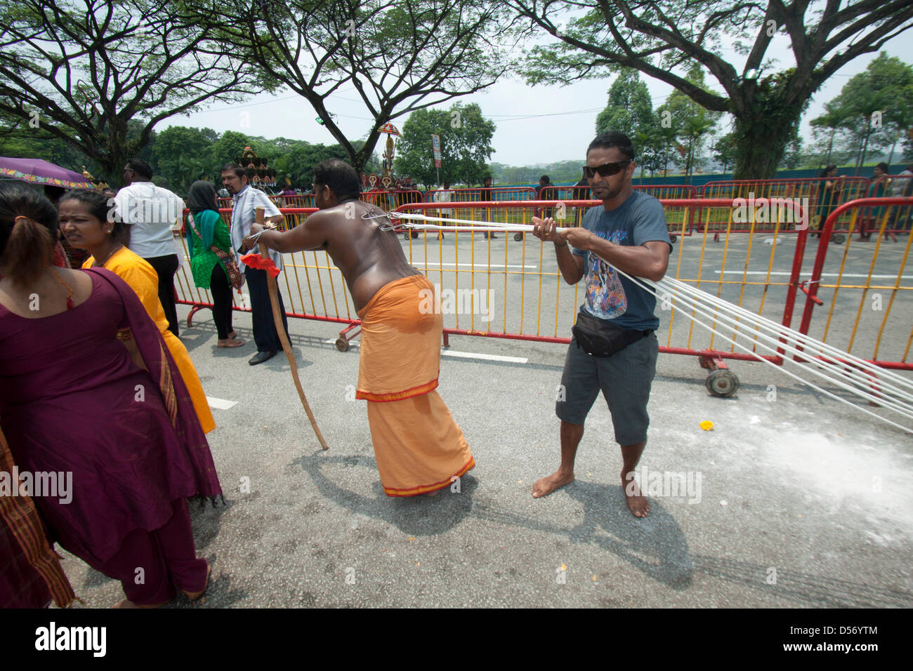 Singapour. 26 mars 2013. Le festival de Thaipusam commémore la victoire du bien sur le mal et est célébré par les dévots hindous qui portent le fardeau physique connu comme Kavadi avec porteurs et prendre pour percer leurs joues et langues avec crochets en métal et des brochettes. Credit : amer ghazzal / Alamy Live News Banque D'Images