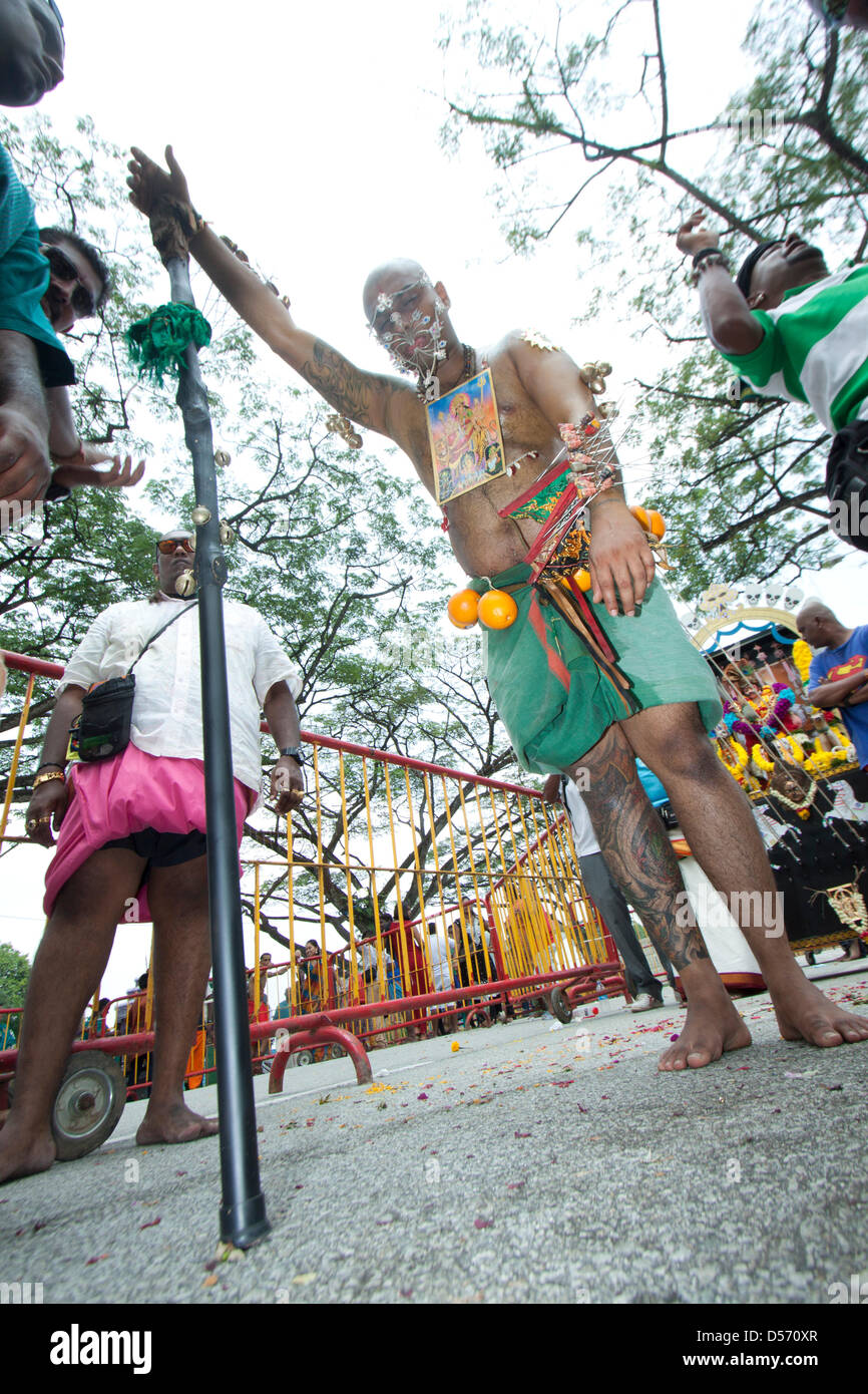 Singapour. 26 mars 2013. Le festival de Thaipusam commémore la victoire du bien sur le mal et est célébré par les dévots hindous qui portent le fardeau physique connu comme Kavadi avec porteurs et prendre leurs joues piercing et des langues avec crochets en métal et Crédit : brochettes amer ghazzal / Alamy Live News Banque D'Images