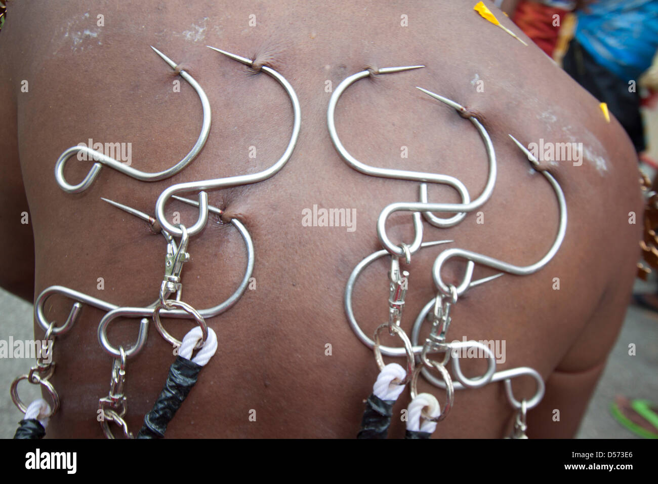 Singapour. 26 mars 2013. Le festival de Thaipusam commémore la victoire du bien sur le mal et est célébré par les dévots hindous qui portent le fardeau physique connu comme Kavadi avec porteurs et prendre pour percer leurs joues et langues avec crochets en métal et Crédit : Brochettes Amer Ghazzal/Alamy Live News Banque D'Images