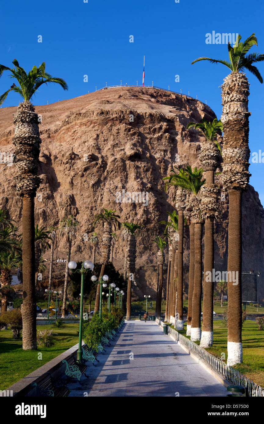 City park et falaises dominant Arica au Chili Banque D'Images