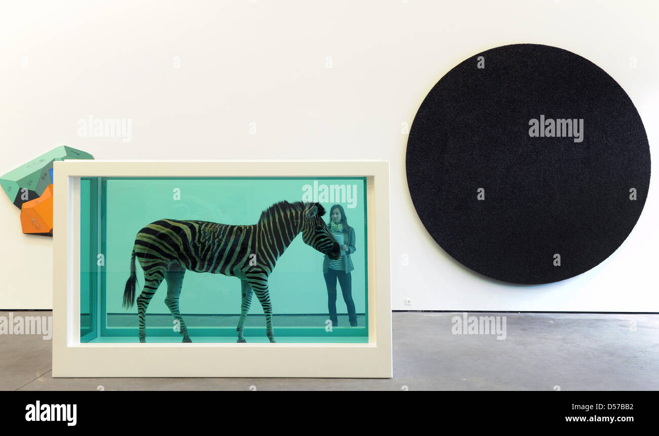 Les yeux d'une femme le travail 'l'incroyable voyage" par l'artiste britannique Damien Hirst dans la galerie 'Haunch of Venison' à Berlin, Allemagne, 27 avril 2010. L'exposition sur Hirst et Michael Joo peut être visité à partir du 01 mai jusqu'au 14 août 2010. Photo : Soeren Stache Banque D'Images
