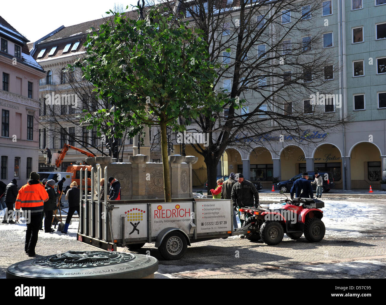 Amener les travailleurs de l'un des nombreux arbres vert en face de l''Église Saint-Nicolas à Berlin, Allemagne, 26 mars 2013. Caractère américain George Clooney est de filmer des scènes supplémentaires pour hi film 'Mmonuments men." Photo : Paul Zinken Banque D'Images