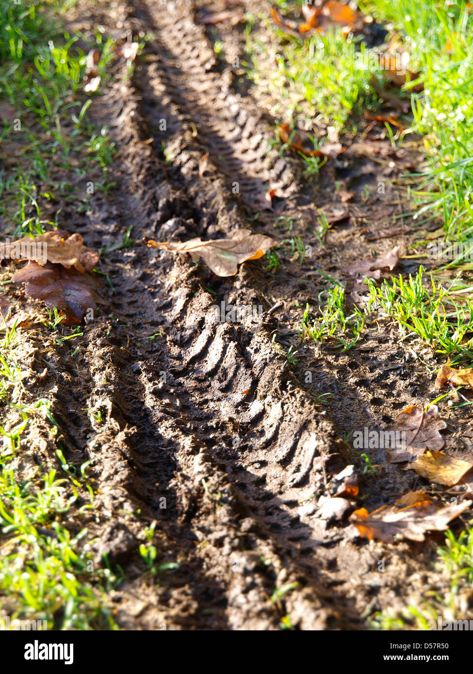 Traces de roues dans la boue détail Banque D'Images
