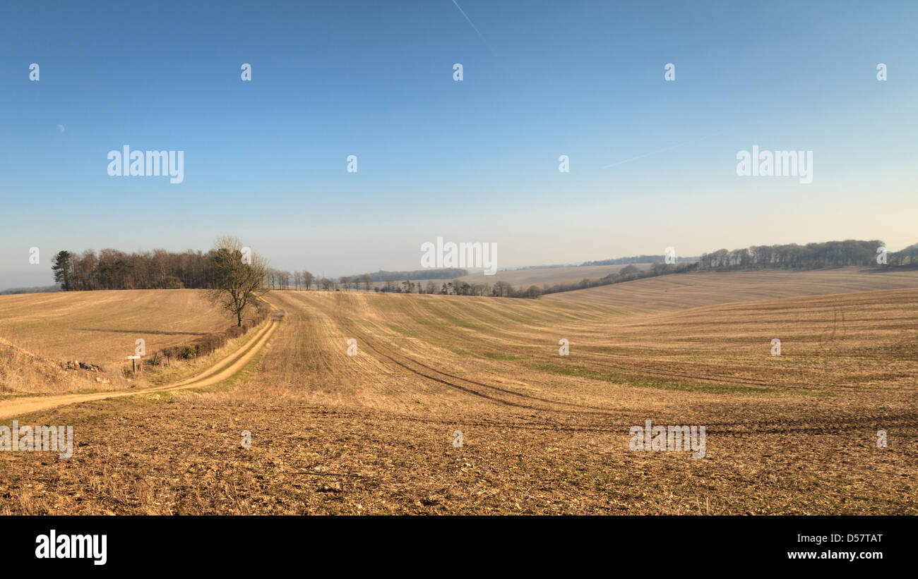 Campagne à Cottington's Hill près de Hannington, mât de télécommunication Hampshire, Royaume-Uni. Banque D'Images